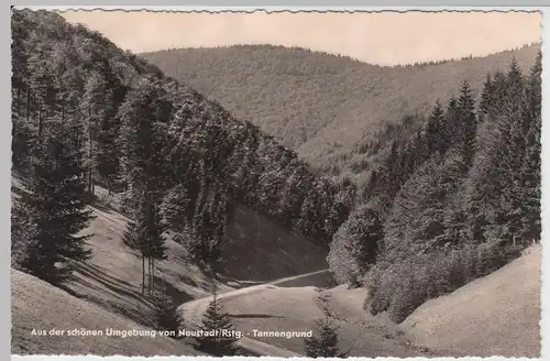 (52817) Foto AK Neustadt am Rennsteig, Tannengrund 1963