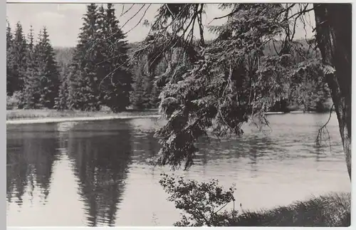 (52815) Foto AK Neustadt am Rennsteig, Ochsenbacher Teich 1959