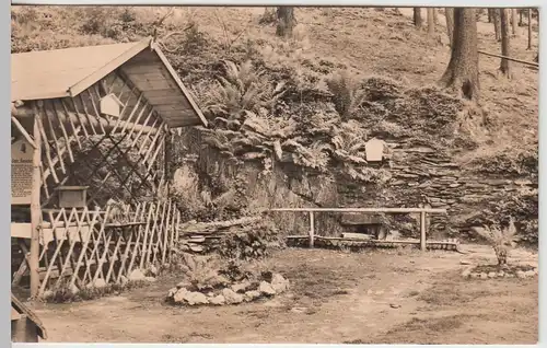 (52800) Foto AK Oberweißbach, Thür. Wald, Wormsbrunnen 1963