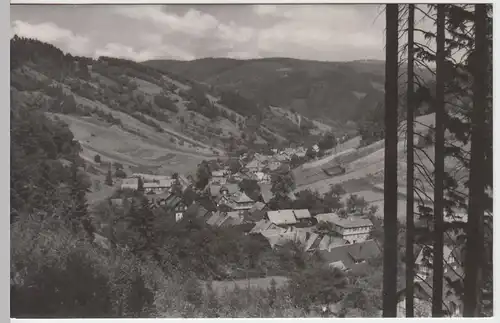 (52785) Foto AK Mellenbach-Glasbach, Thür. Wald, Panorama 1967