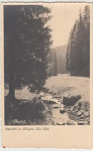 (52776) Foto AK Partie im Schlagetal, Thür. Wald 1954