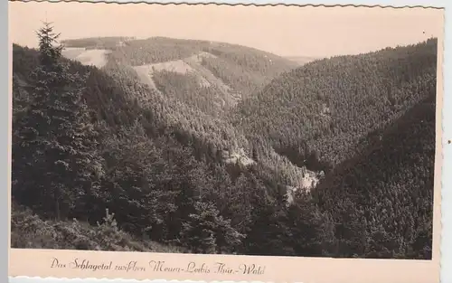 (52774) Foto AK Schlagetal zwischen Meura und Leibis, Thür. Wald