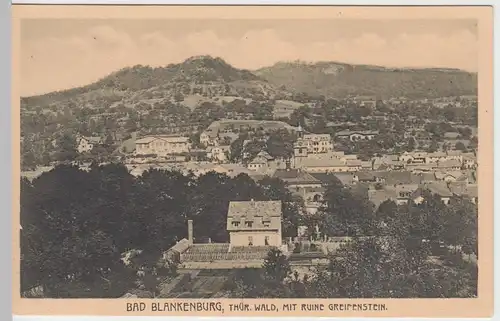 (52763) AK Bad Blankenburg, Thür. Wald, Panorama, vor 1945