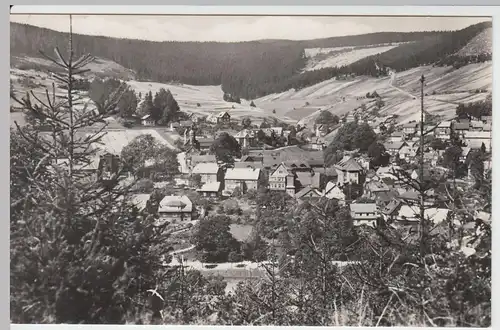 (52753) Foto AK Manebach, Thür. Wald, Harzhüttengrund 1966