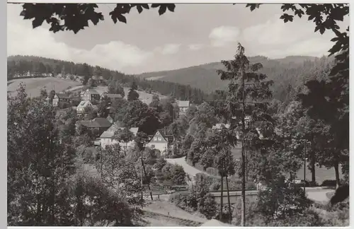 (52745) Foto AK Meuselbach-Schwarzmühle, Panorama 1966