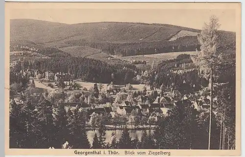 (52737) AK Georgenthal, Thür., Blick vom Ziegelberg 1930