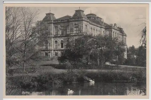 (52612) AK Gotha, Herzogliches Museum, Teich, vor 1945