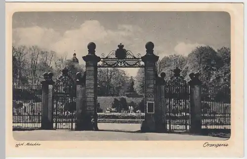 (52586) AK Gotha, Orangerie, vor 1945
