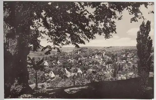 (52341) Foto AK Bad Sulza, Panorama 1959