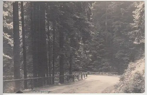 (43021) Foto AK Herzogsweg, Stempel Friedrichroda 1910