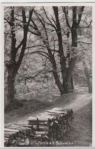 (42367) Foto AK Partie an der Schwarza vor 1945