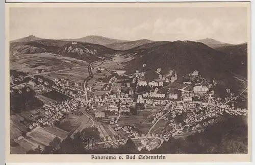 (4195) AK Bad Liebenstein, Panorama 1929