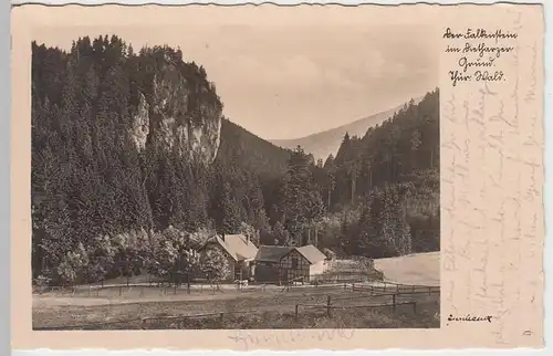 (38550) Foto AK Dietharzer Grund, Falkenstein 1934