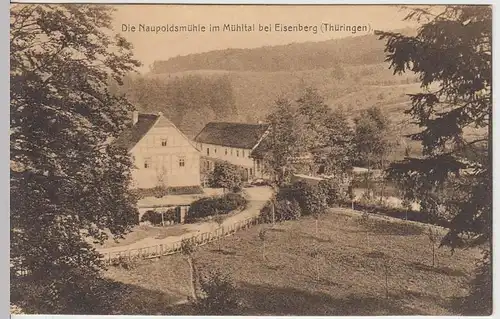 (33306) AK Eisenberg, Mühltal, Naupoldsmühle, um 1916