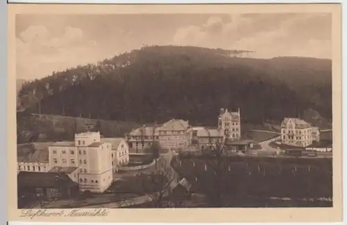 (3031) AK Neumühle, Elster, Panorama 1920er