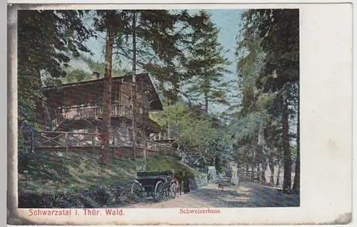 (30107) AK Schwarzatal, Schweizerhaus, vor 1905