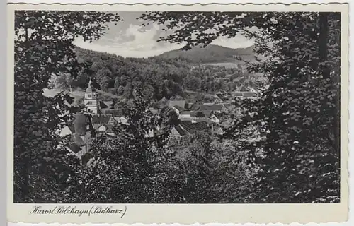 (29062) Foto AK Sülzhayn, Panorama 1937