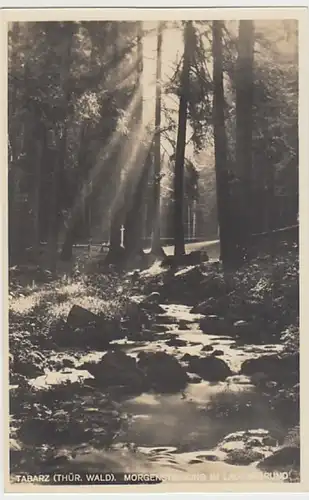 (28247) Foto AK Tabarz, Morgenstimmung im Lauchagrund 1920/30er