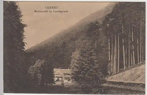 (27395) AK Tabarz, Massemühle, Lauchagrund, vor 1945
