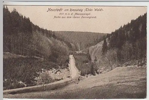 (24663) AK Neustadt am Rennsteig, oberer Tannengrund, vor 1945
