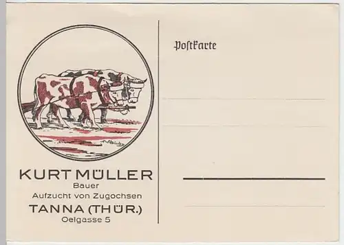 (23750) Postkarte Tanna, Thür., Ochsengespann, Werbung, vor 1945
