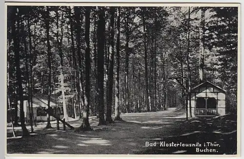 (18619) Foto AK Bad Klosterlausnitz, Buchenwald, vor 1945