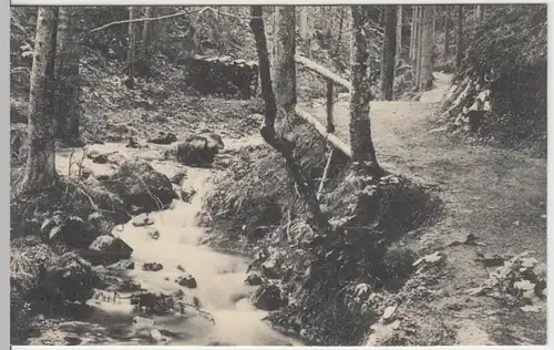 (18418) AK Friedrichroda, Weg zum Heuberg, 1908