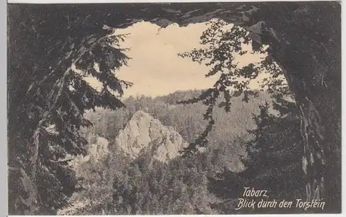 (17543) AK Tabarz, Blick durch den Torstein, gel. 1911