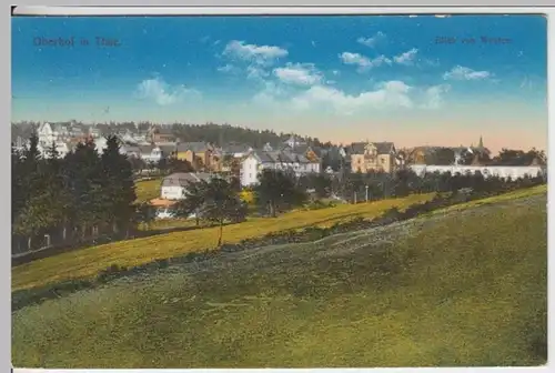 (16314) AK Oberhof (Th. Wald), Panorama 1917