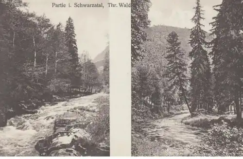 (1611) AK Schwarzatal, Thür. Wald 1910er