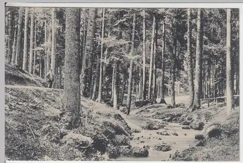 (14834) AK Tabarz, Th. Wald, Lauchagrund, vor 1945