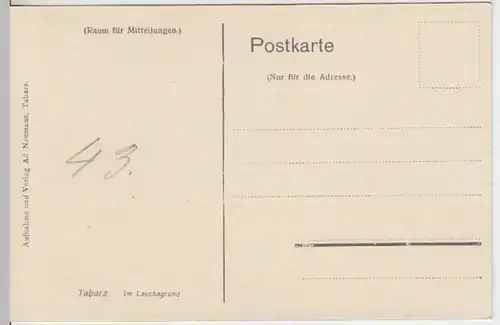 (14834) AK Tabarz, Th. Wald, Lauchagrund, vor 1945