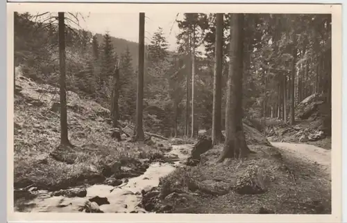 (14658) Foto AK Tambach-Dietharz, Schmalwassergrund 1955