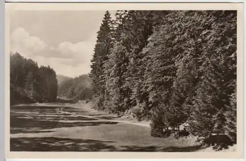 (14657) Foto AK Tambach-Dietharz, Apfelstädter Grund 1955