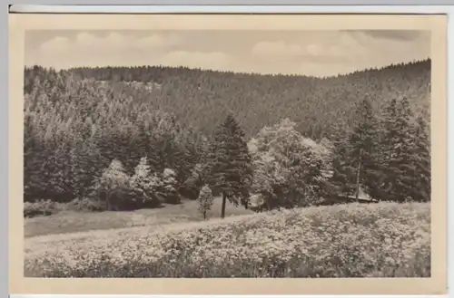 (14637) Foto AK Finsterbergen, Blick zum Hainfelsen 1955