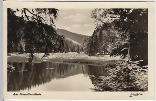 (14634) Foto AK Finsterbergen, Brandleiteteich 1955