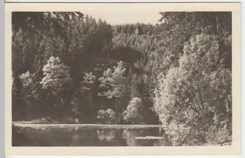 (14555) Foto AK Finsterbergen, Brandleiteteich 1953