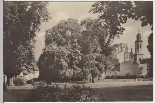 (14456) Foto AK Bad Langensalza, Ortsansicht 1955