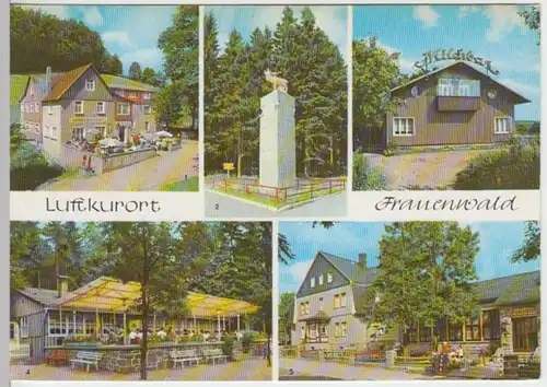 (14331) AK Frauenwald, Thür. Wald, Mehrbildkarte 1976