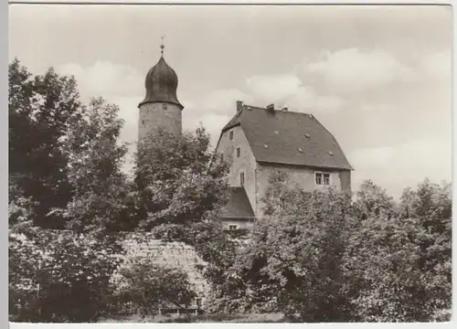 (13997) Foto AK Eisfeld, Schloss 1973