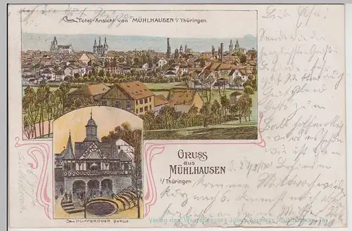 (115660) AK Gruss aus Mühlhausen i.Thür., Mehrbild Litho 1901