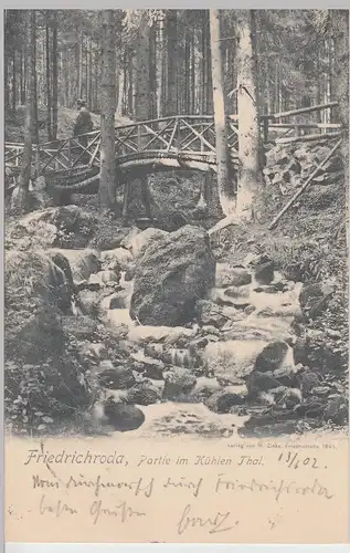 (113447) AK Friedrichroda, Kühles Tal, Holzbrücke 1902
