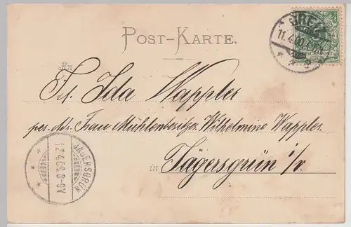 (112887) AK Greiz, Totalansicht 1900