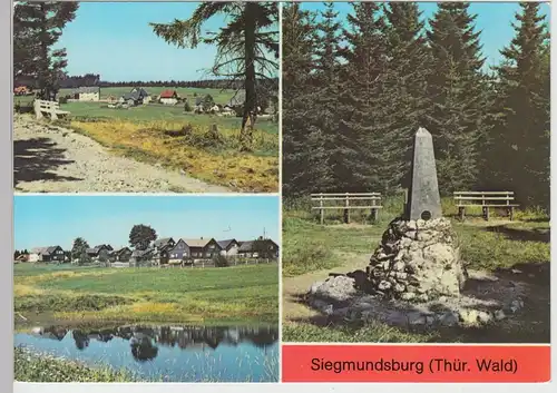 (111619) AK Siegmundsburg, Thüringer Wald, Dreistromstein, Mehrbildkarte DDR 197