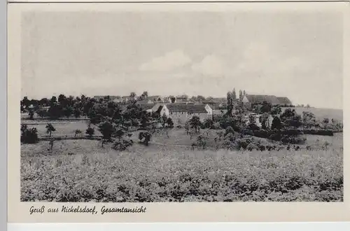 (111528) AK Nickelsdorf, Panorama, Gehöfte