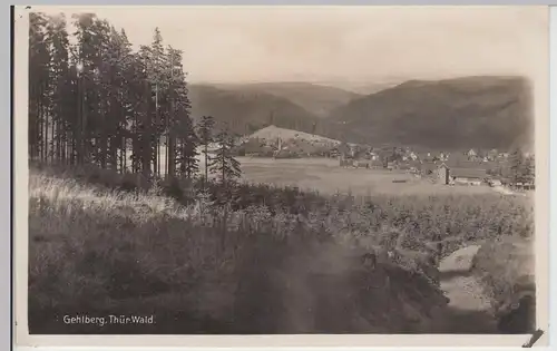 (111428) Foto AK Gehlberg, Thür. Wald, Blick zum Ort, 1929