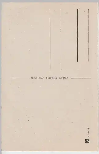 (109356) AK Saalfeld, Saale, Hoher Schwarm, vor 1945