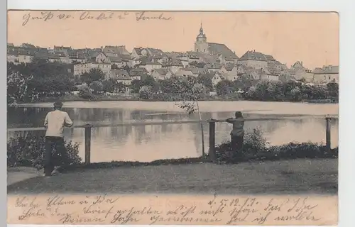 (108783) AK Ronneburg, Thüringen, Kirche St. Marien, Baderteich 1907