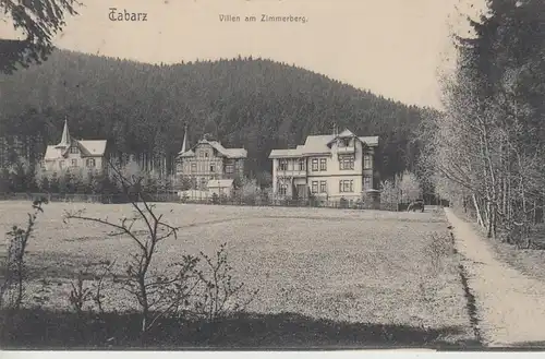 (107981) AK Tabarz, Thüringer Wald, Villen am Zimmerberg 1911