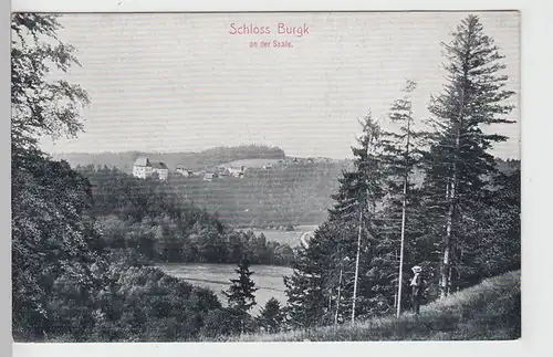 (106576) AK Schloss Burgk an der Saale, 1910/20er